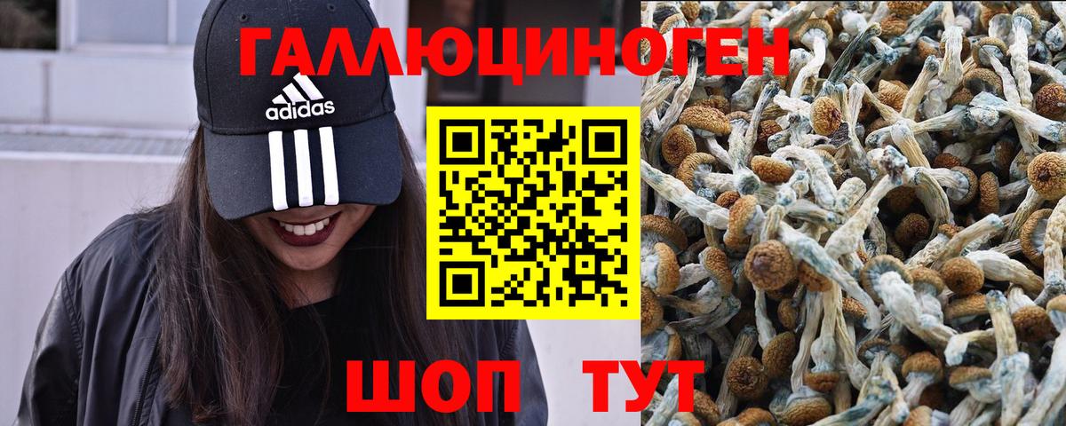 Галлюциногенные грибы MAGIC MUSHROOMS  Псилоцибиновые грибы Magic Shrooms  Вход с VPN  Избербаш 
